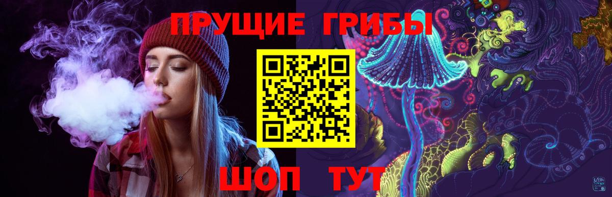 Галлюциногенные грибы мицелий  Вход с VPN  Шадринск 